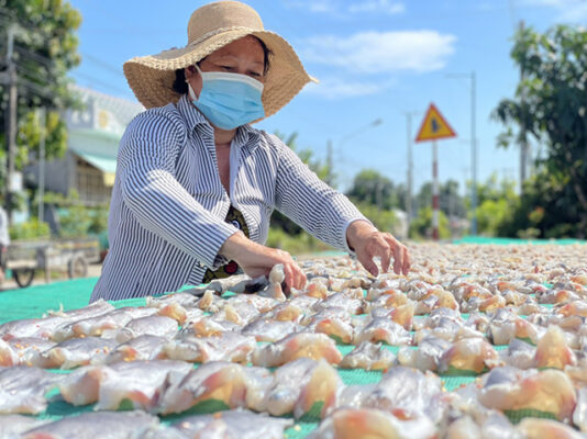 công đoạn phơi khô cá dứa